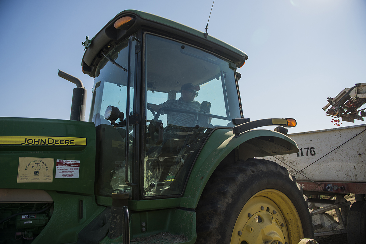 According to a study by Bloomberg, the United States devotes 391.5 million acres to crop lands. Of that, 77 million of those acres are used to grow food for American consumption. (Photos by Justin Rex/Texas Tech University)